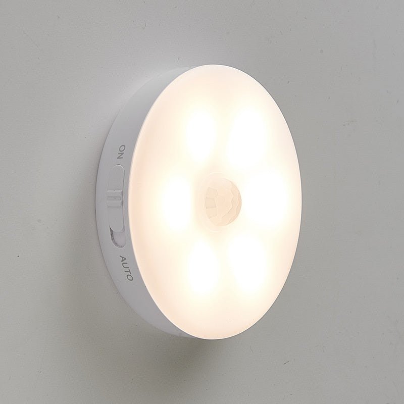 Body Sensing Light