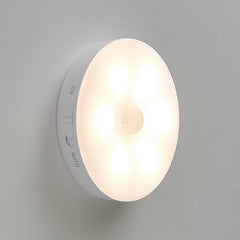 Body Sensing Light